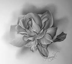 drawing:kkbuebxxlzy= rose