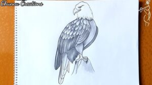 drawing:ktetjzdofvc= eagle